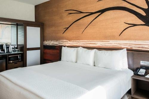 Фото Cambria Hotel Richardson - Dallas