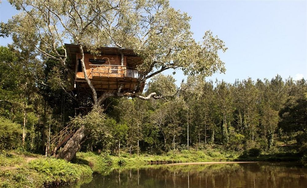 Фото Elephant Valley