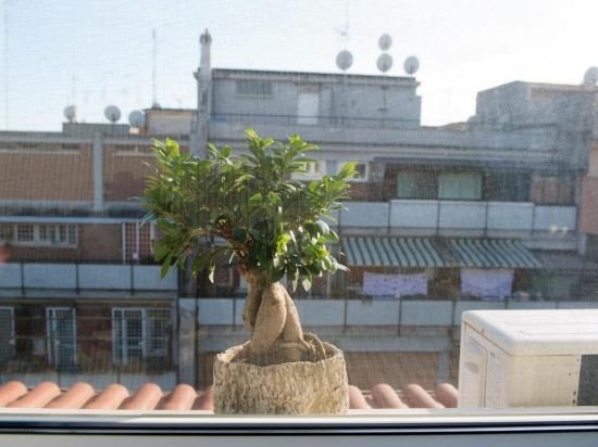 Фото Letto & Latte Roma