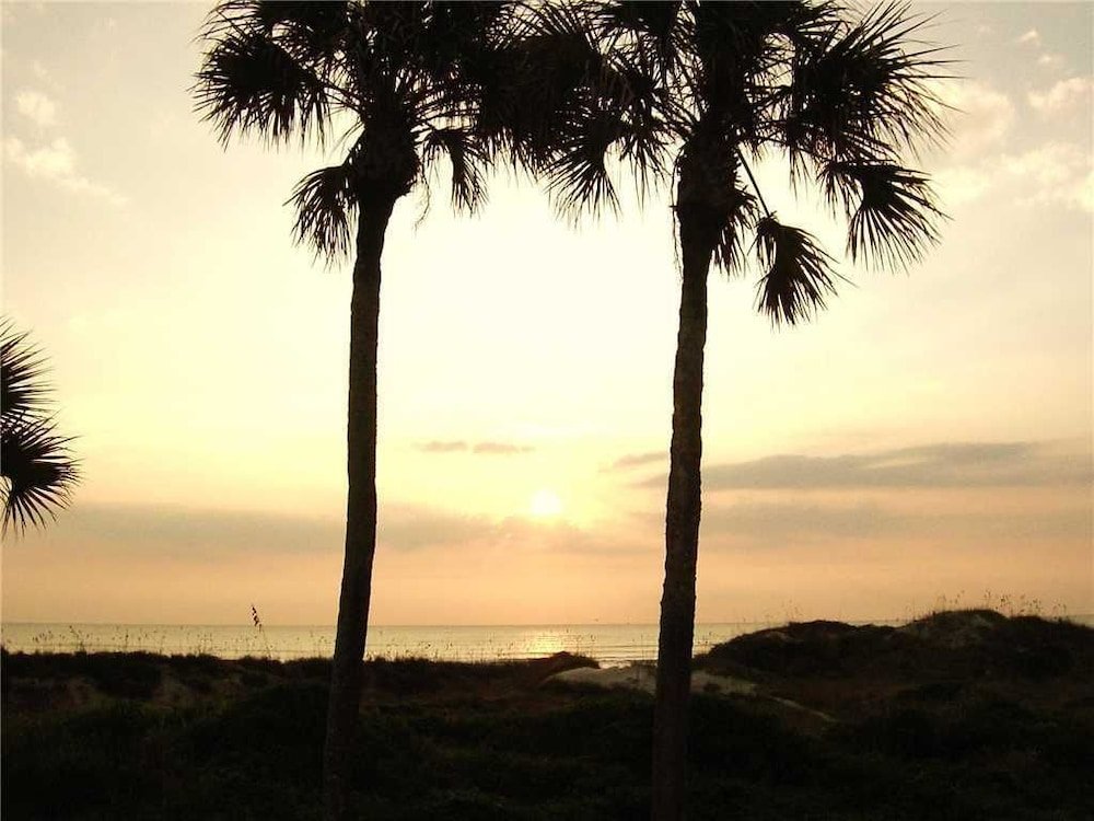 Фото Sand Dollar II 207