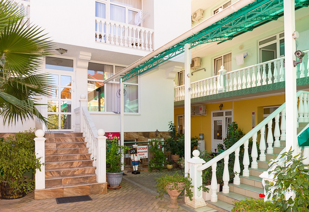 Фото Зелёный попугай