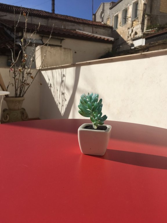 Фото Cialoma B&b