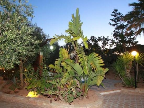 Фото Resort Costa House