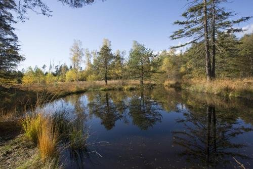 Фото Landgasthof Hotel Rössle