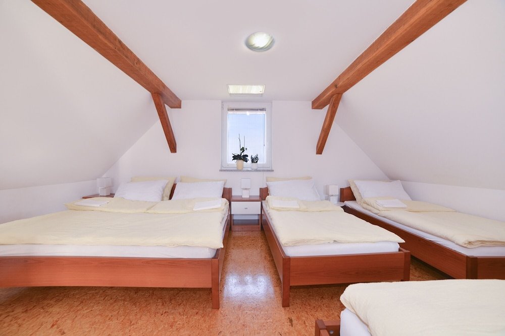 Фото Apartments Vinska Trta