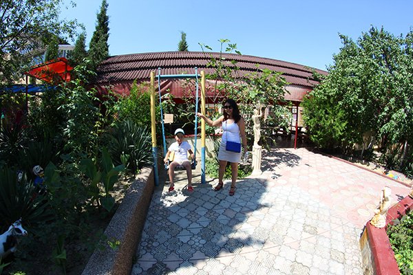 Фото Ласточкино гнездо