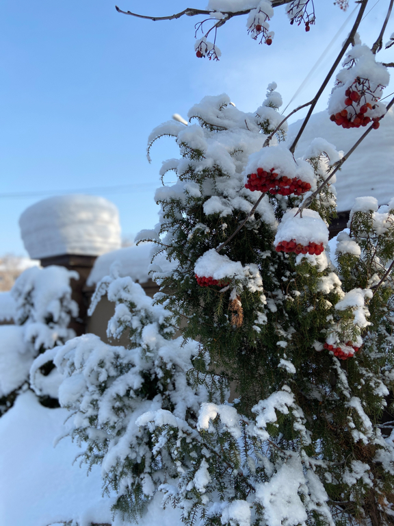 Фото Околица