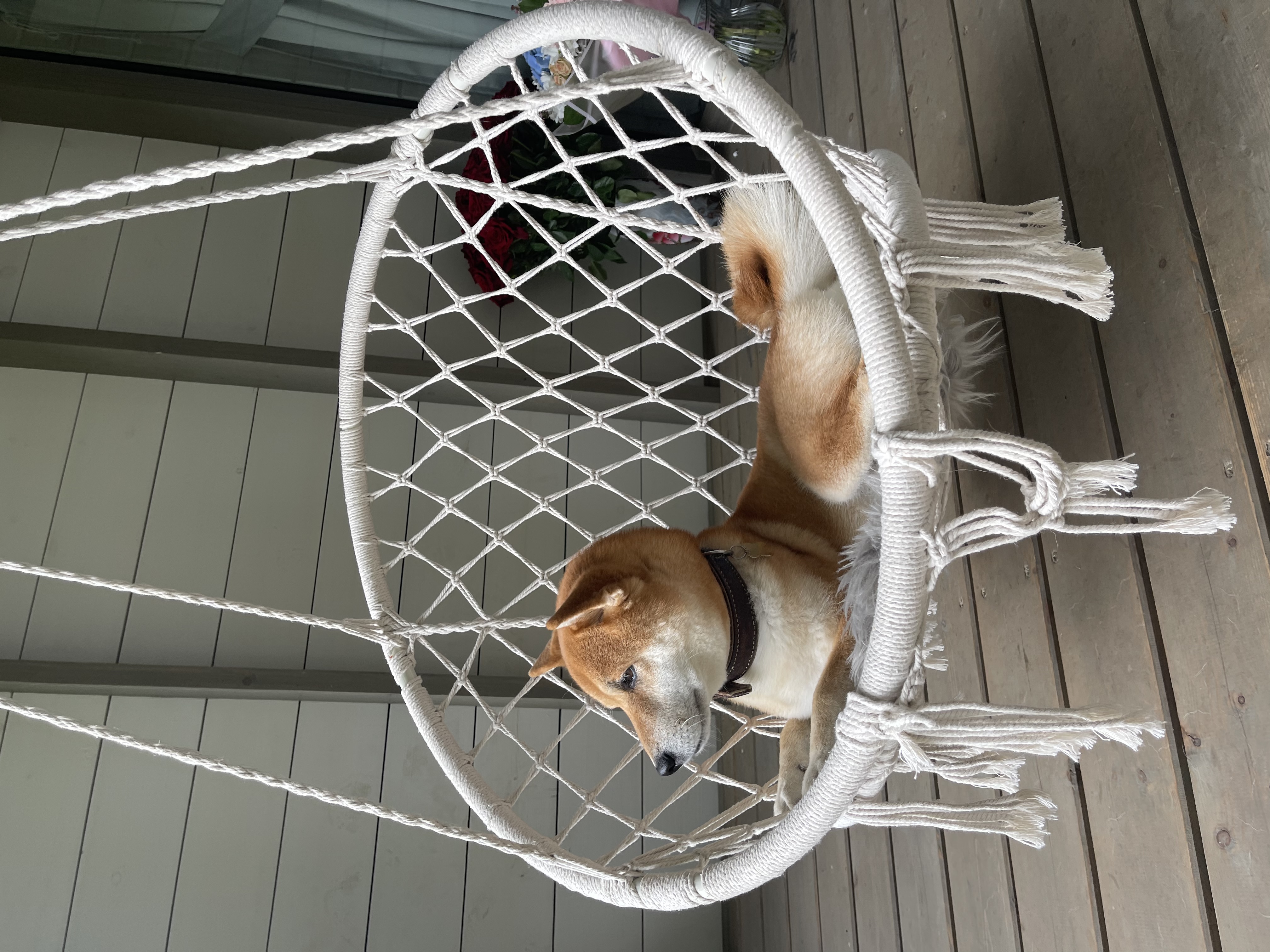 Фото Вазуза Кантри Клаб