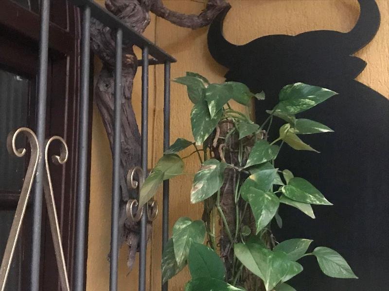 Фото Hotel Nova Centro