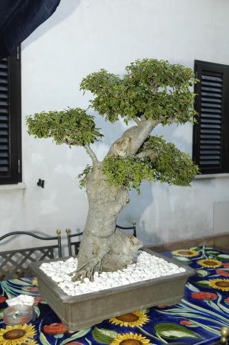 Фото Hotel Blumentag