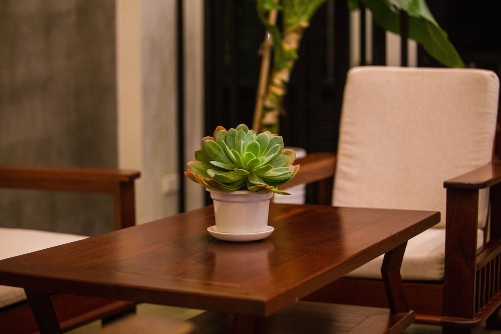 Фото Plumeria Residence