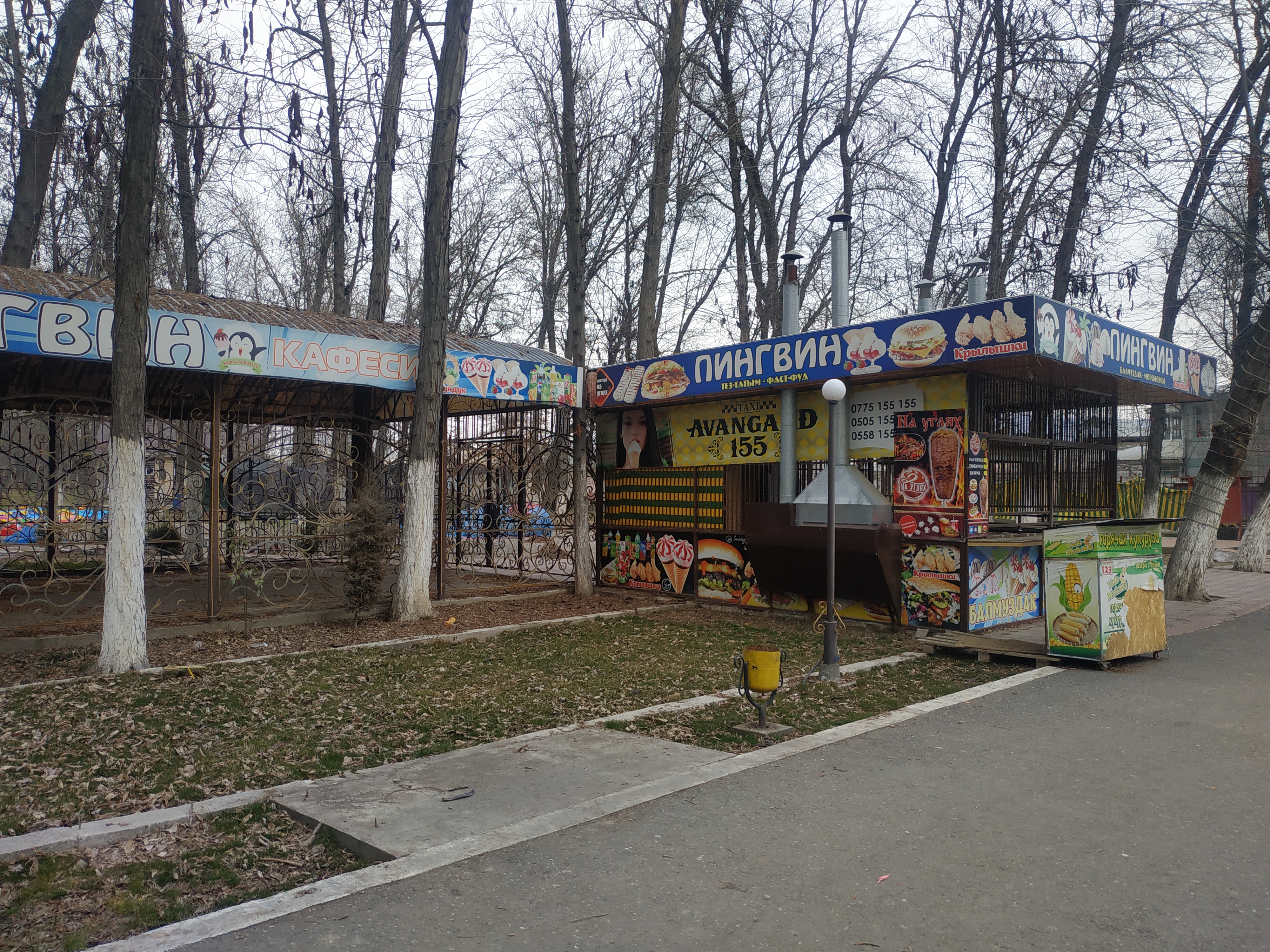 Кафе пингвин керчь