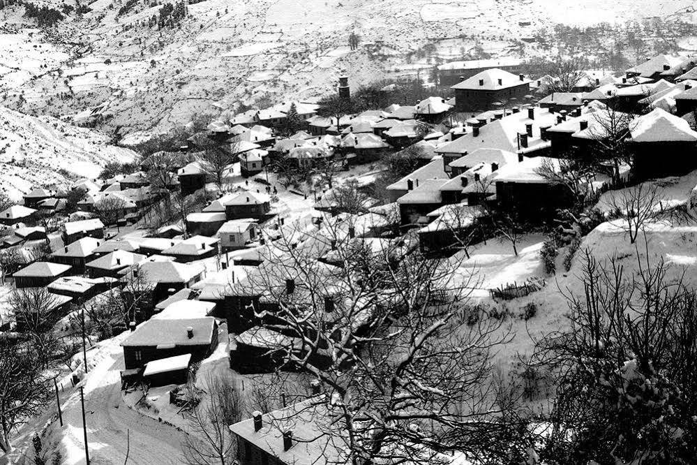 Фото Asteri Metsovo