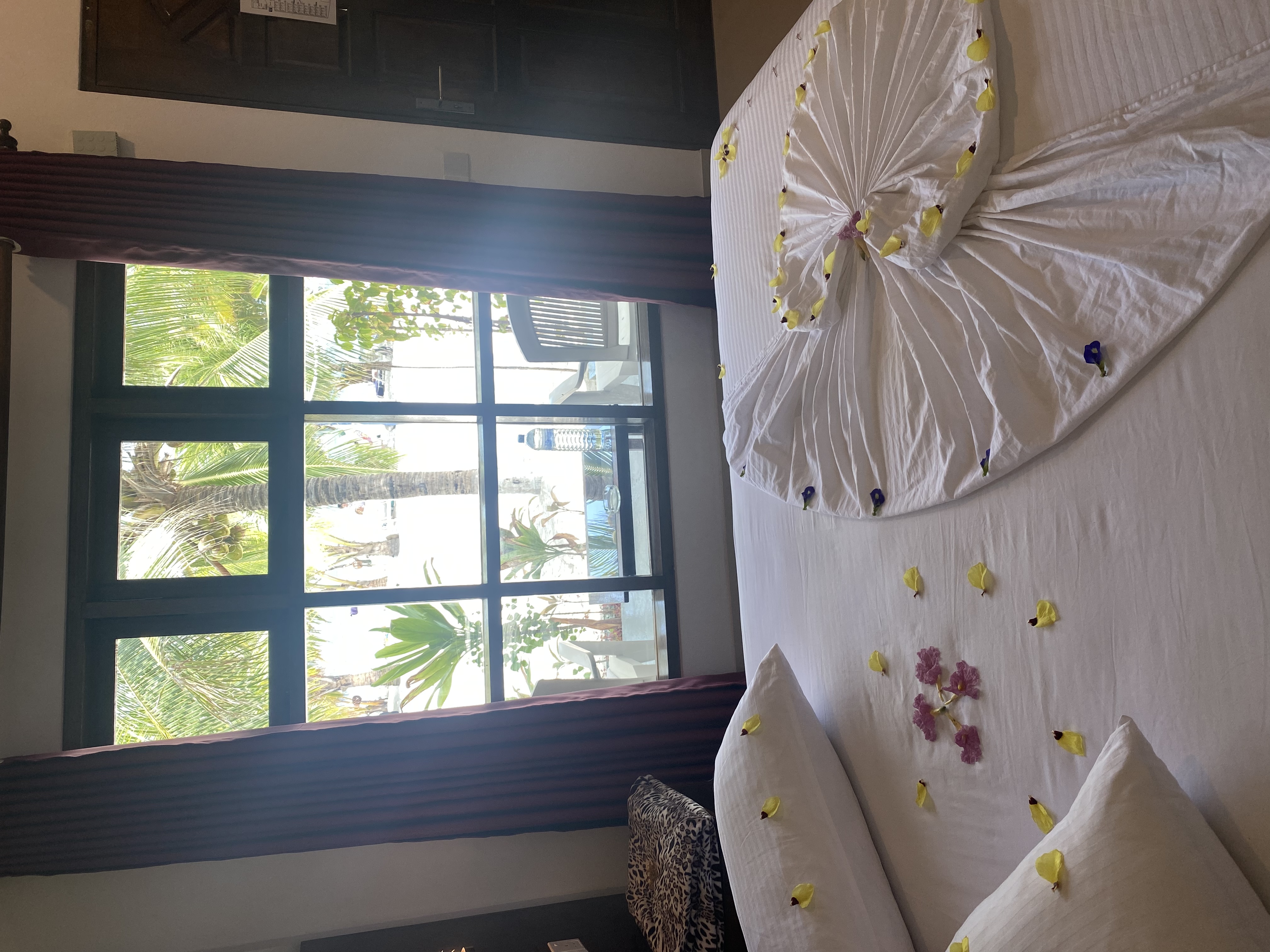 Фото Lagoon View Maldives