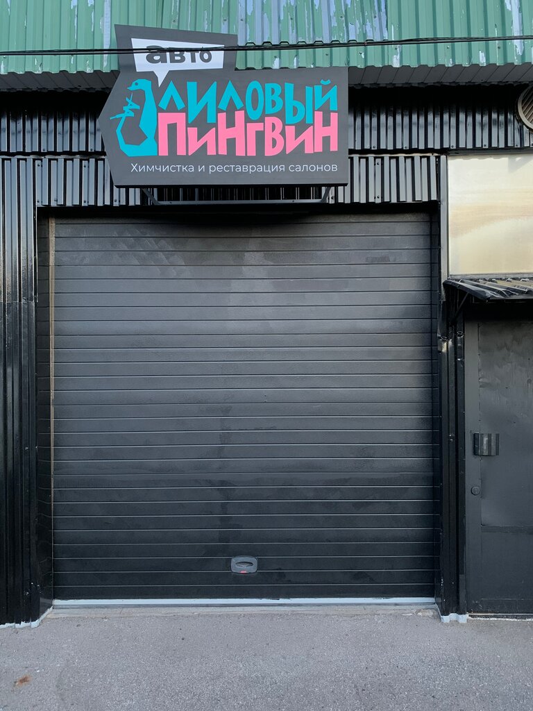 Auto detailing Lily Penguin Auto, Tula, photo