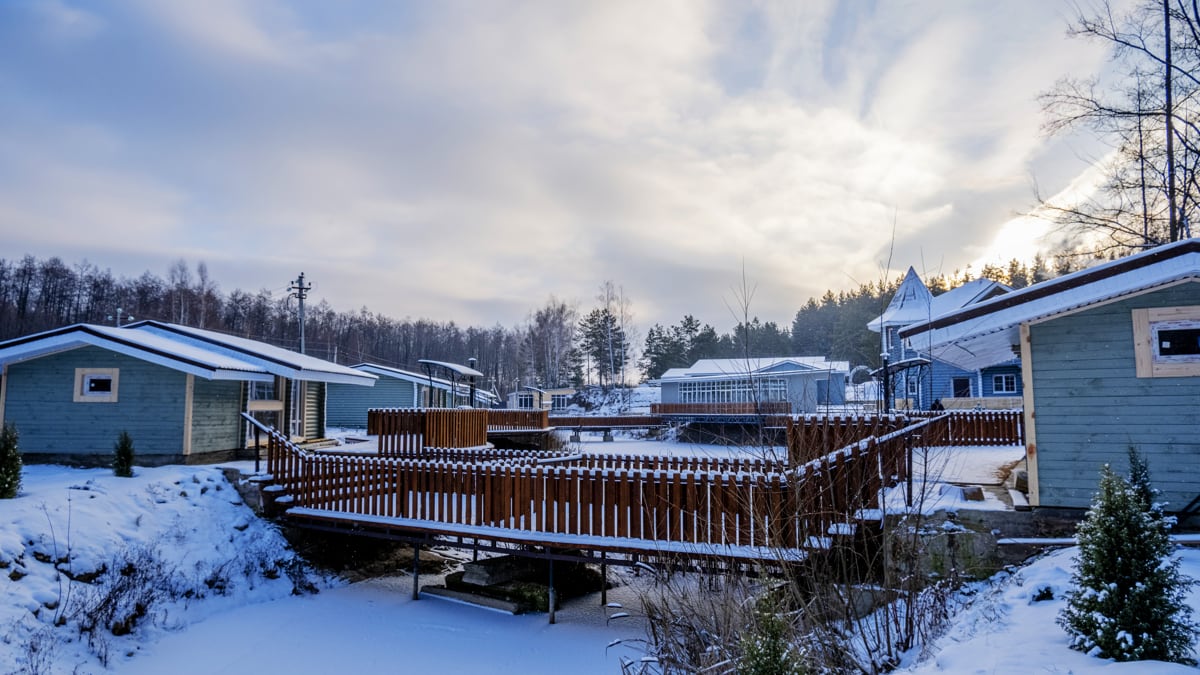 Фото Лесная история