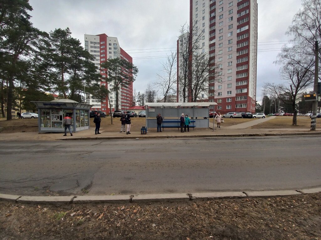 Остановка общественного транспорта Великий лес, Минск, фото