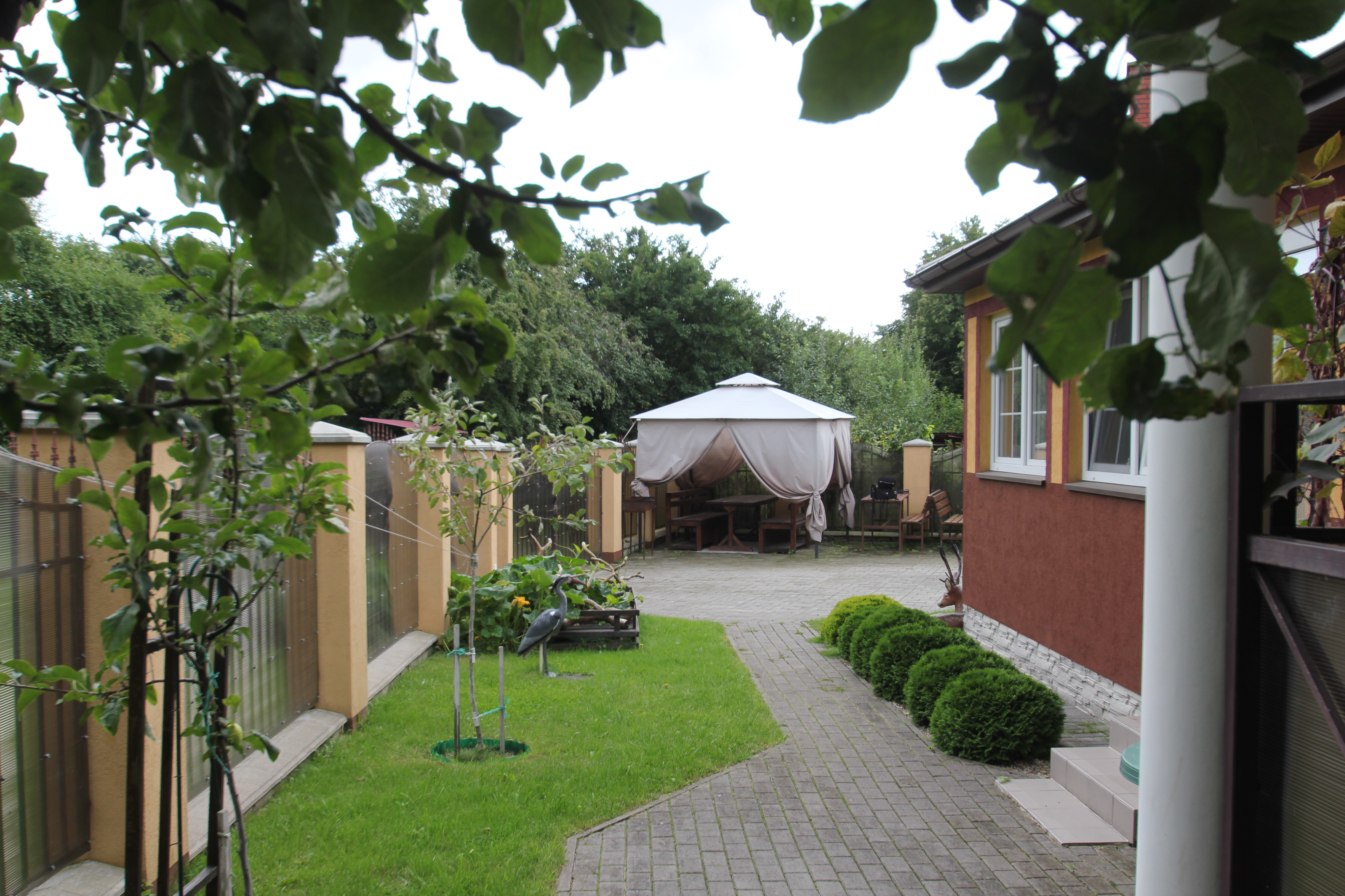 Фото Дикий берег