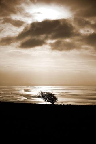 Фото Corner Beech House