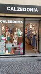 Calzedonia (Lucca, Via Fillungo, 111), clothing store