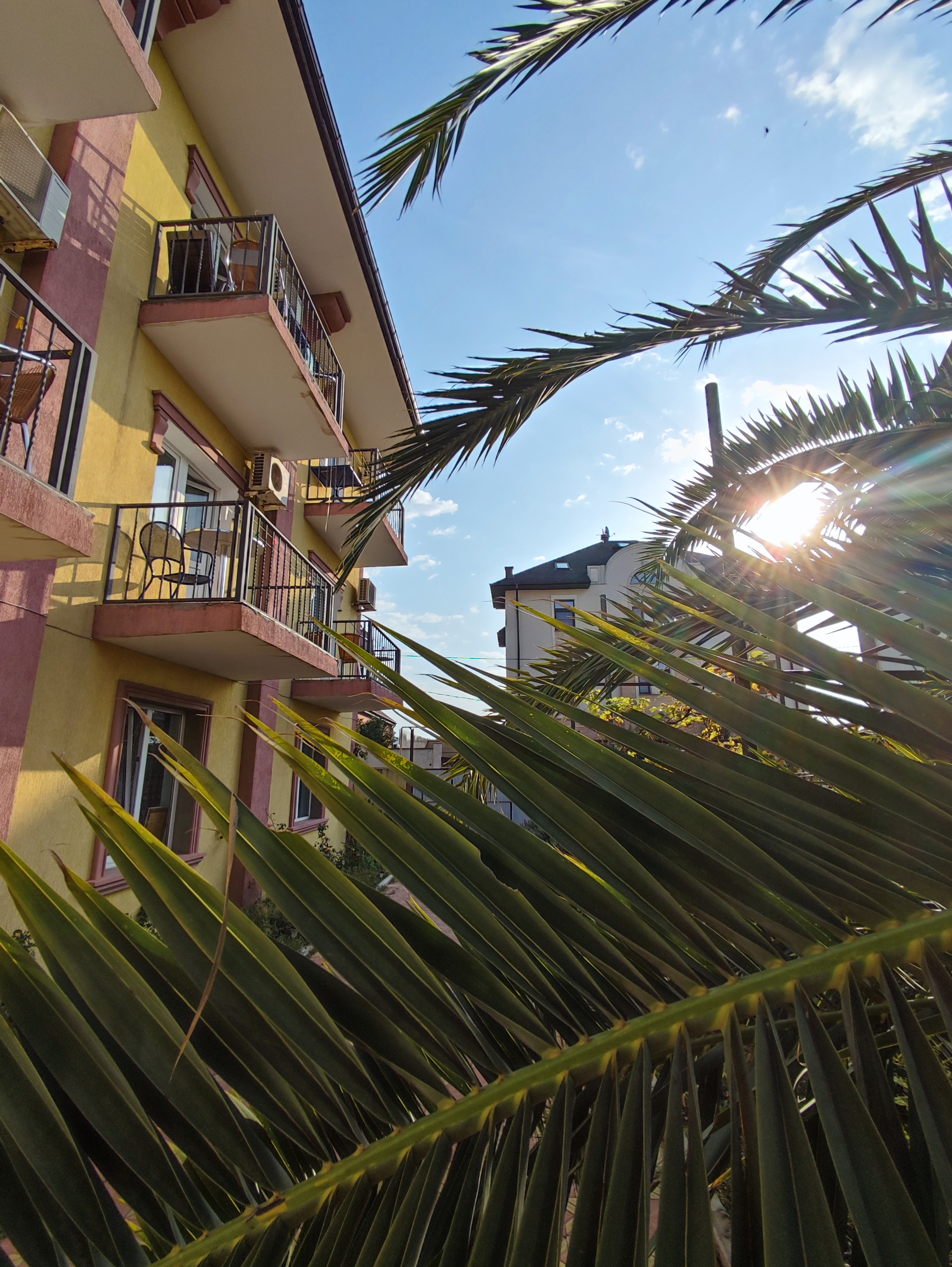 Фото Олимпия