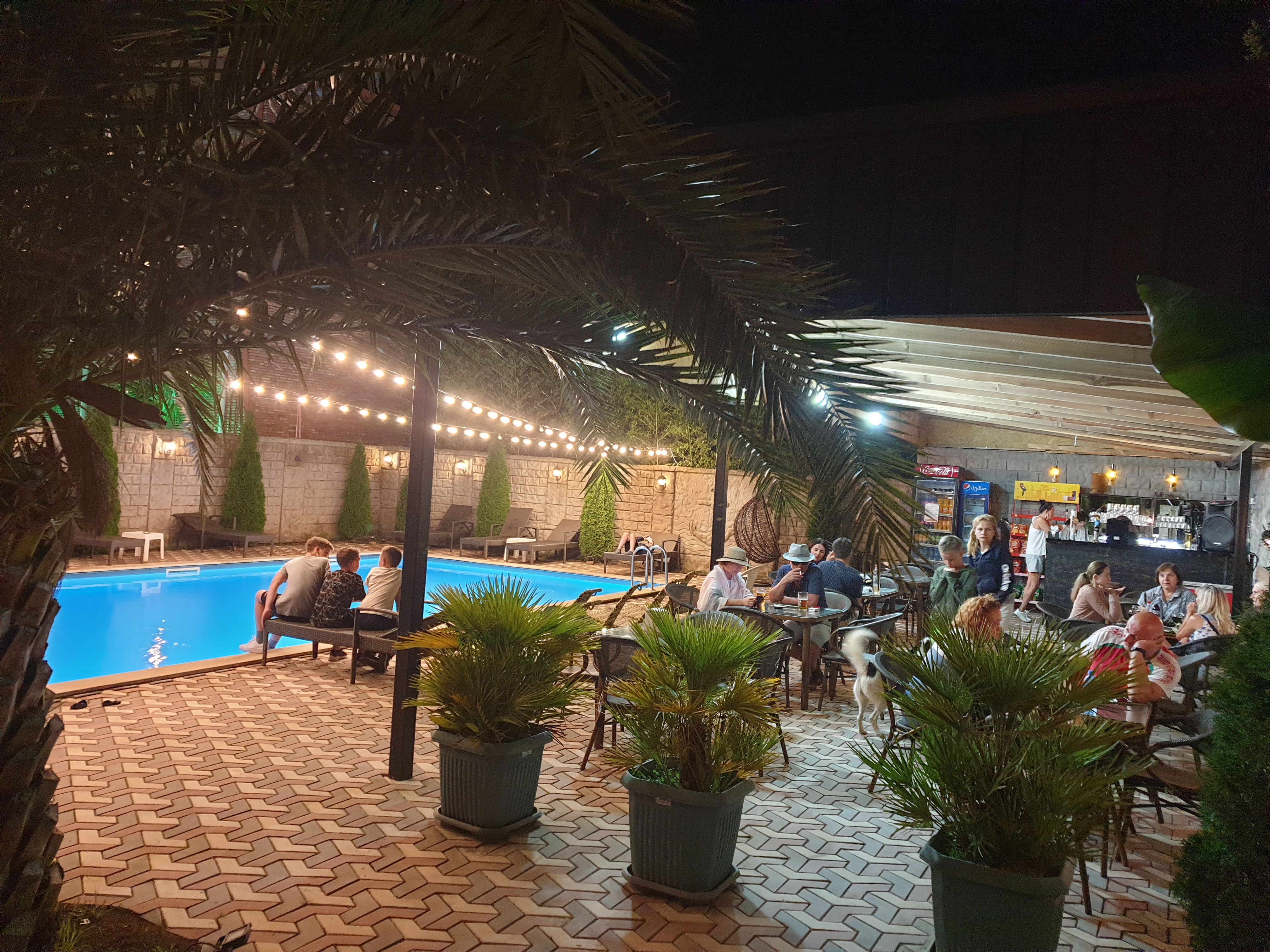 Фото 209409535709