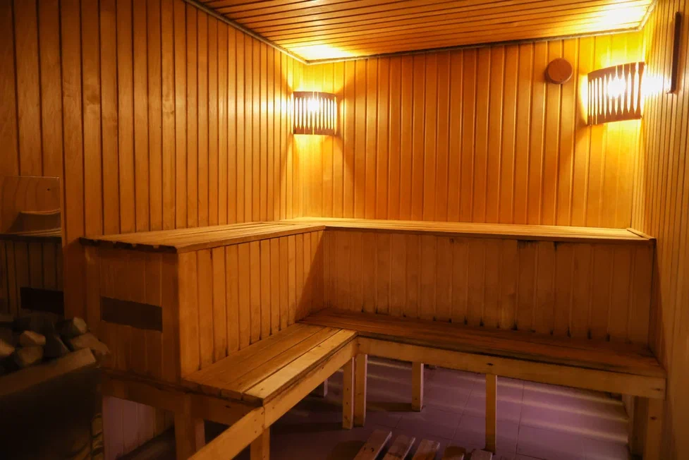 Фото Монарх