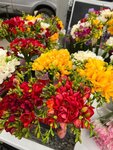 Iris (ulitsa Sverdlova, 60), flower shop