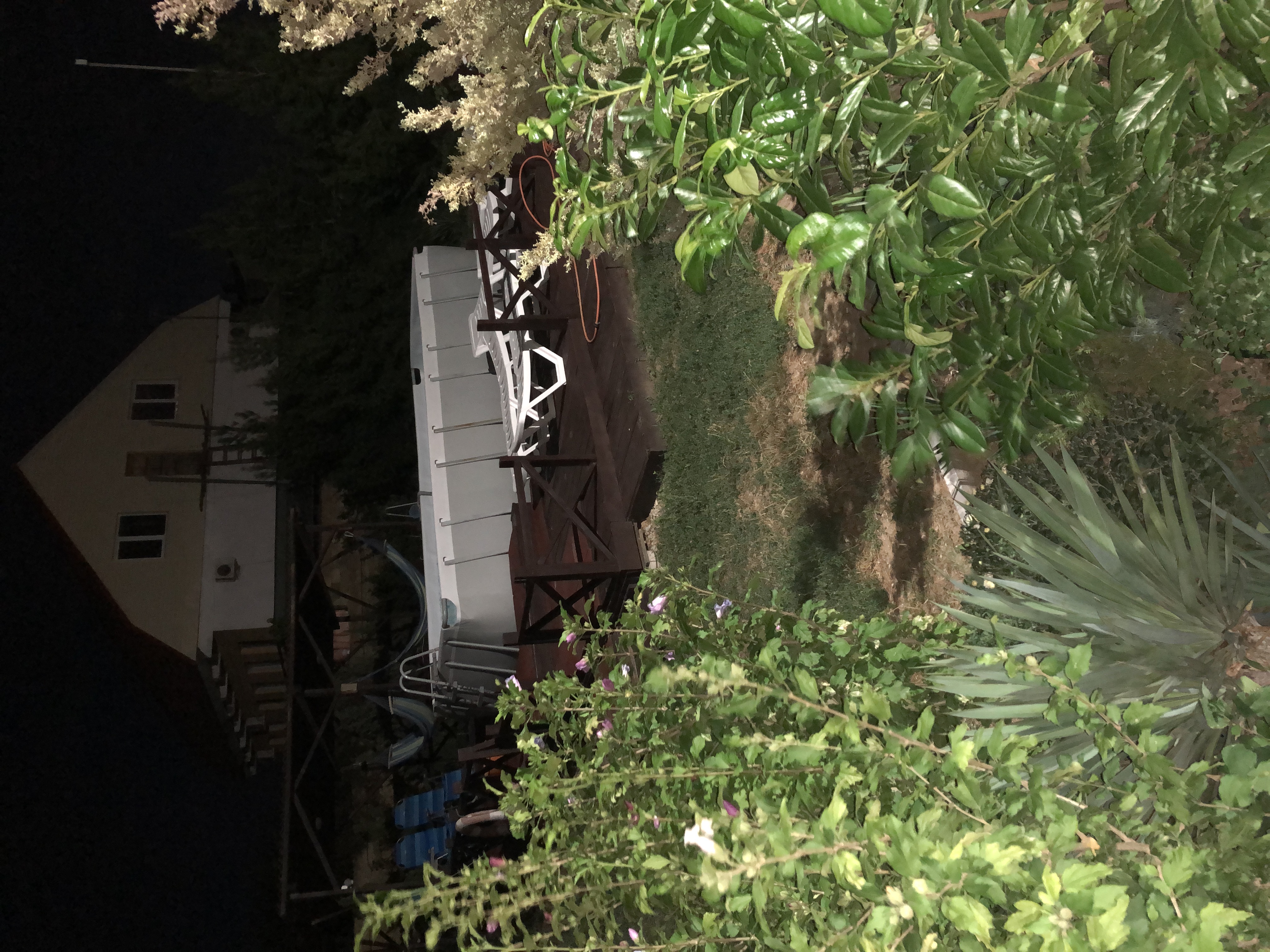 Фото Адмирал