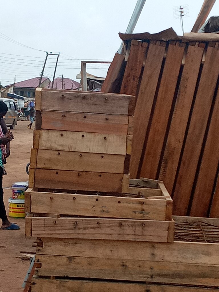 Logging, timber sales Timber site, Earth, photo
