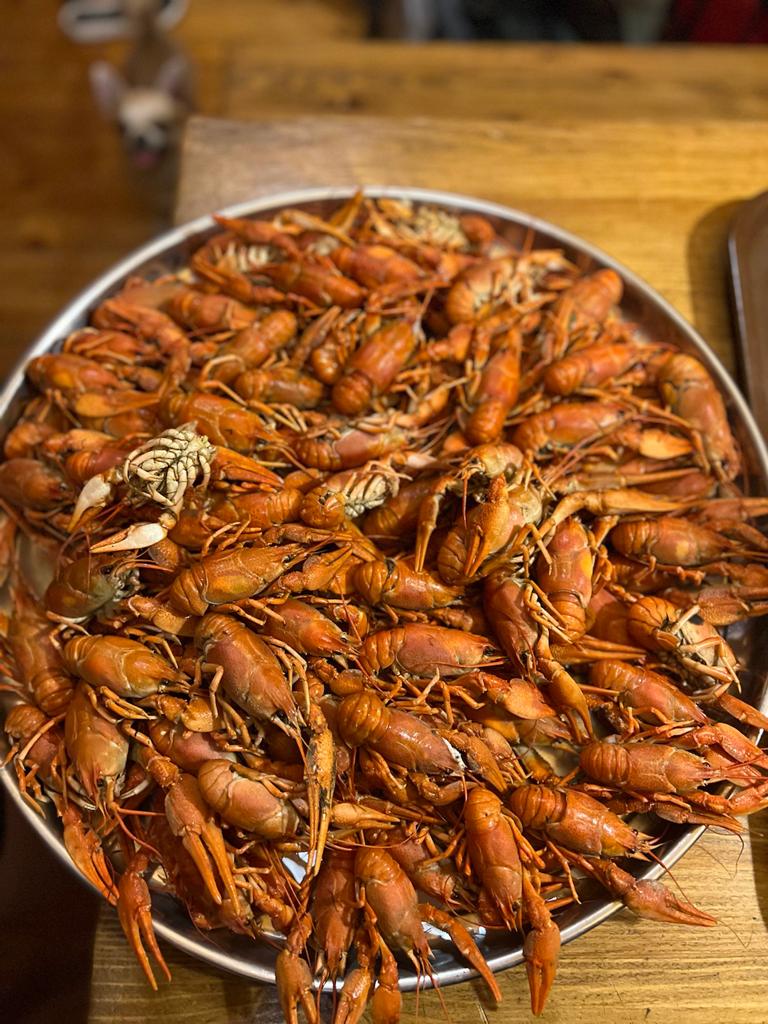 Фото Синяя птица