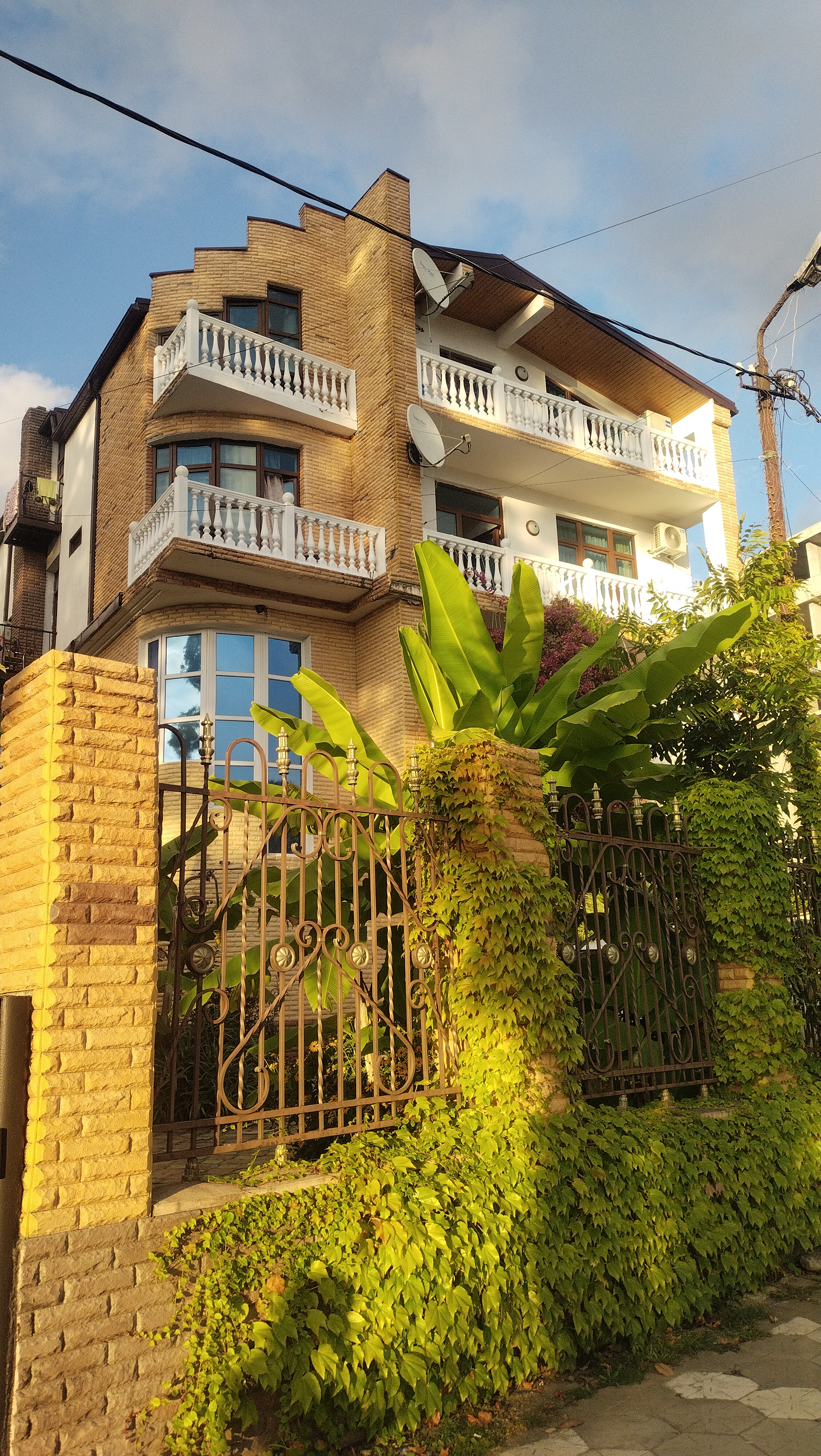 Фото Бугенвиллия