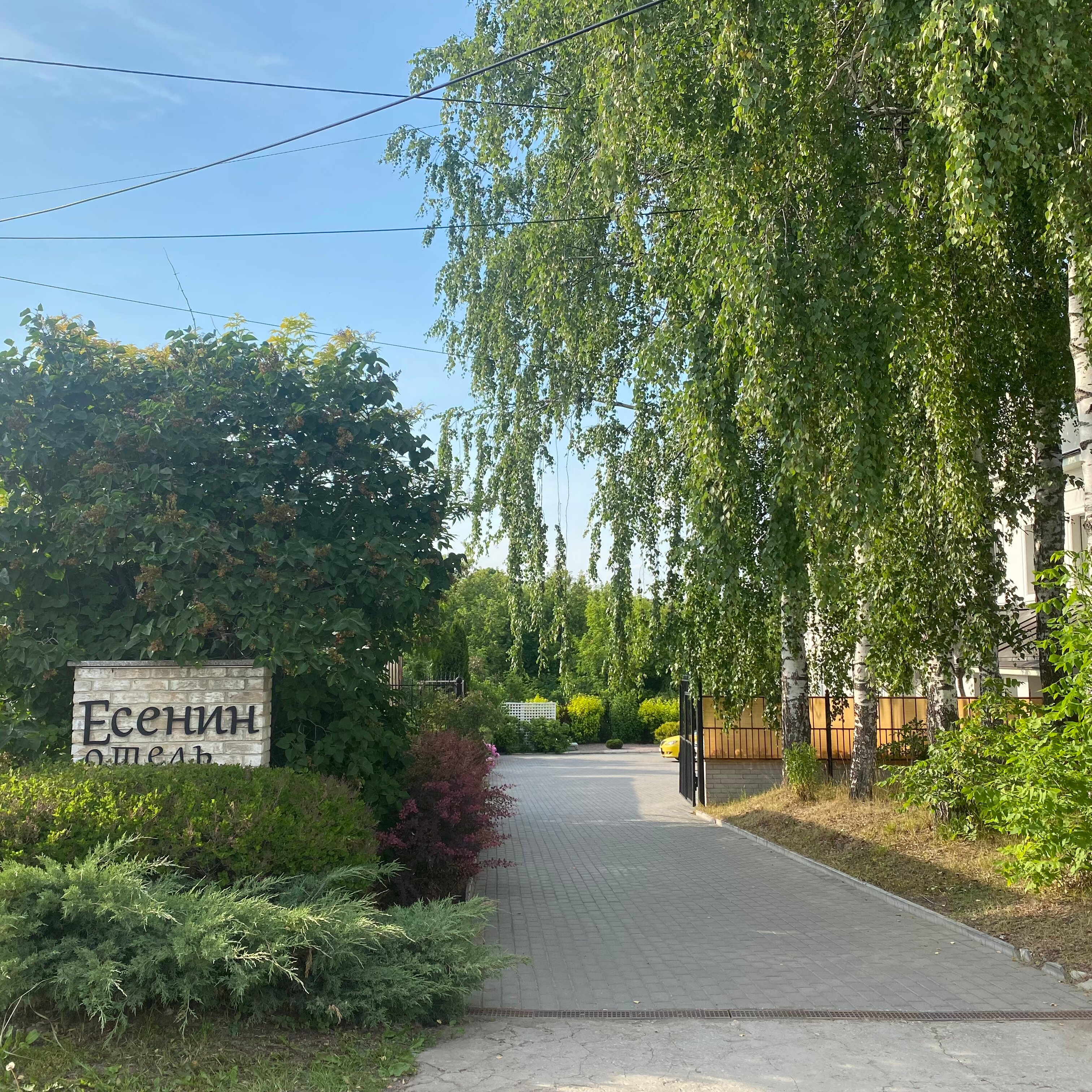 Фото Есенин