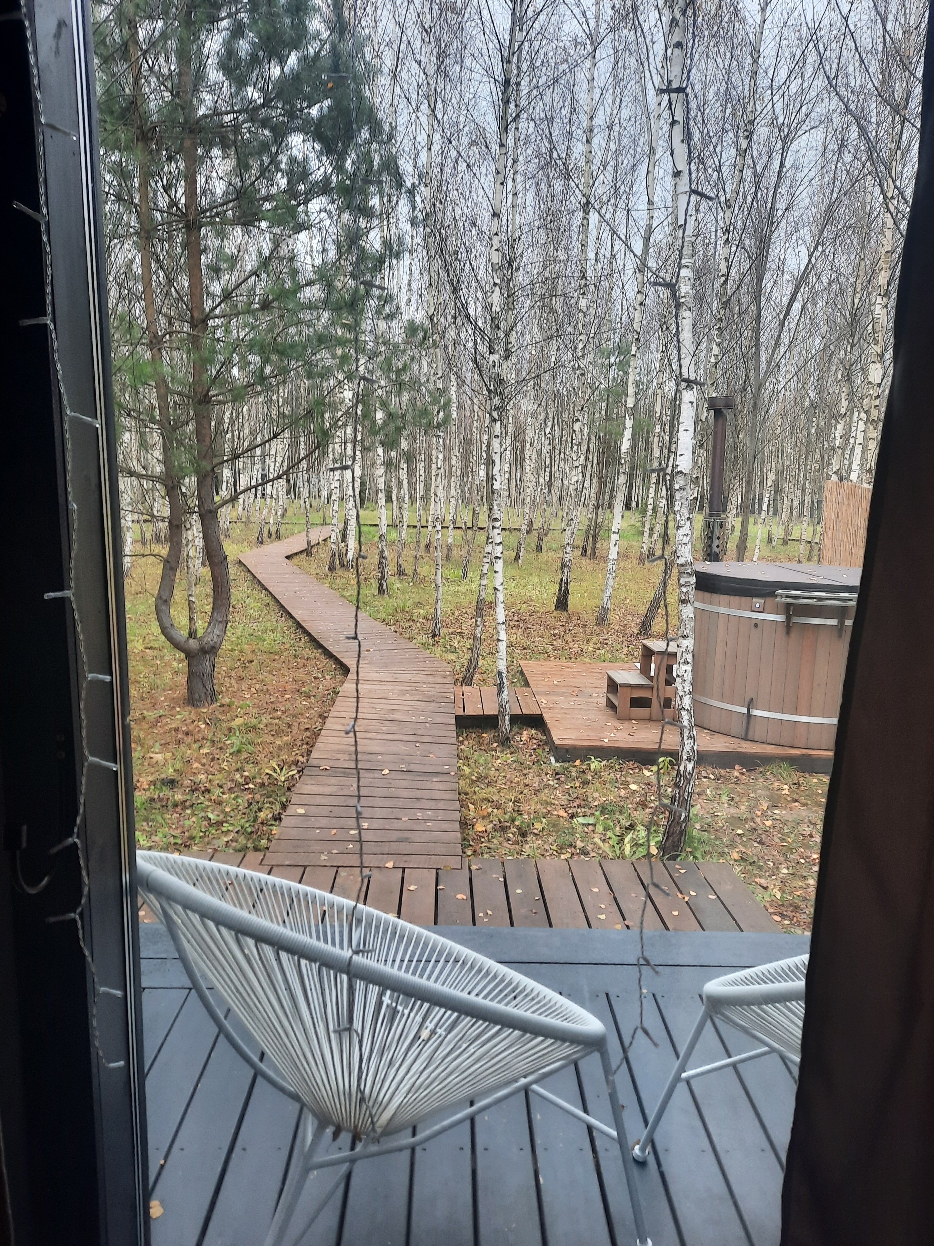 Фото Дыши лесом