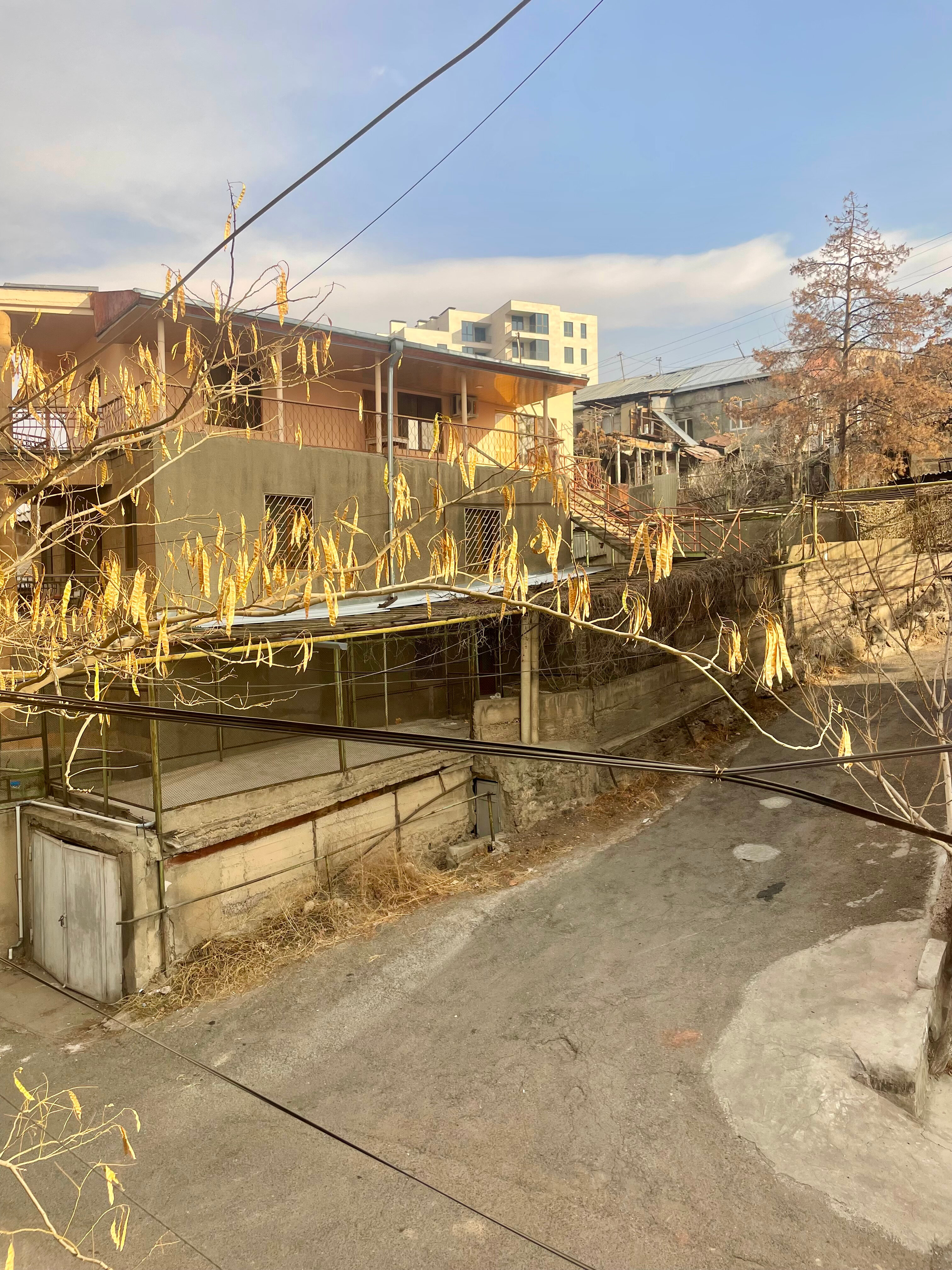 Фото The Friends