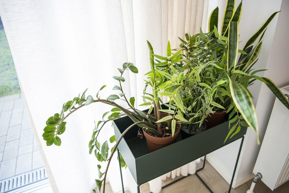 Фото By the Beach - Into This Place