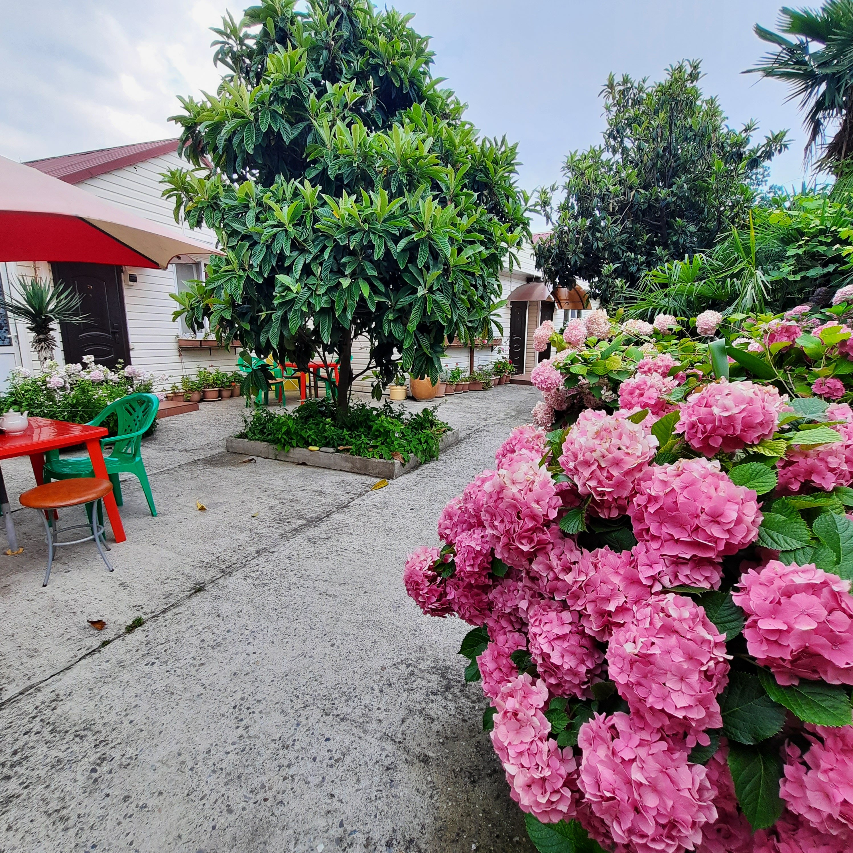 Фото Усадьба