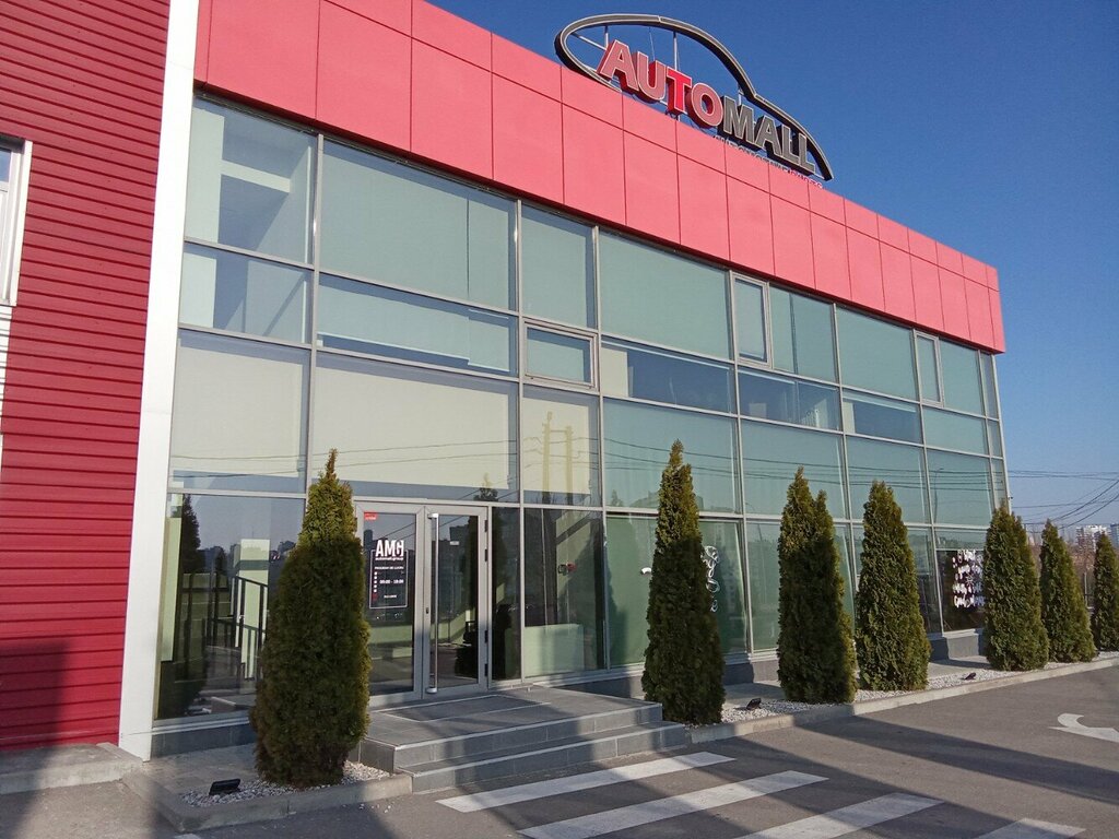 Auto parts and auto goods store Automall, Kishinev, photo