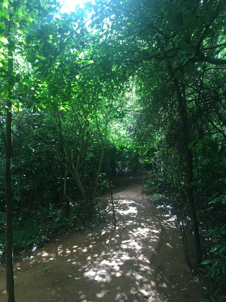 Фото Mahagedara Wellness Retreat