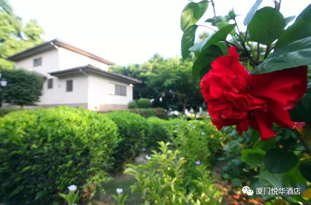 Фото Xiamen C&d Hotel-Free Welcome Snacks-Oasis Garden