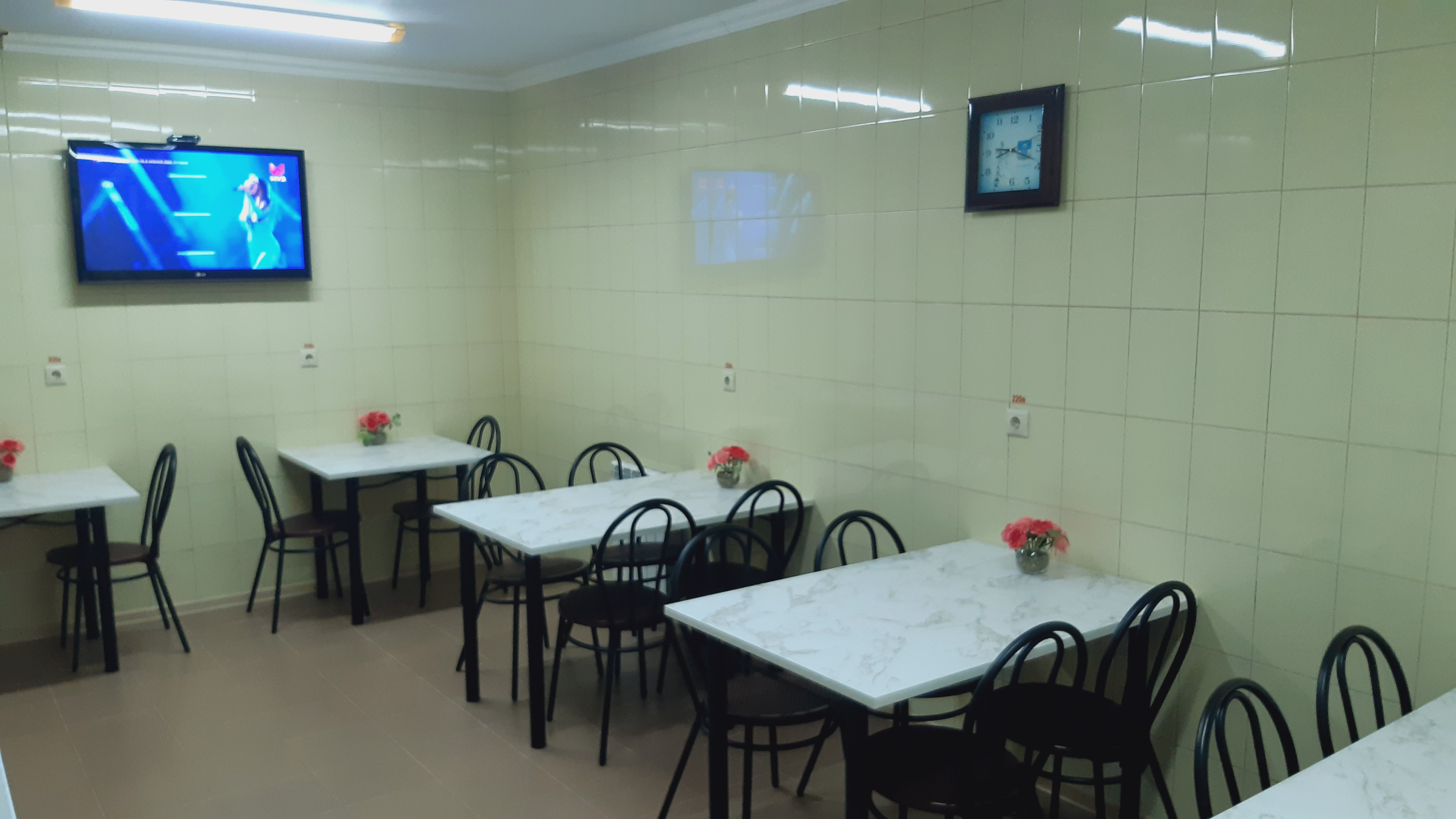 Фото Орхидея