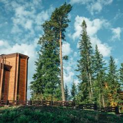 Фото Урочище Актра