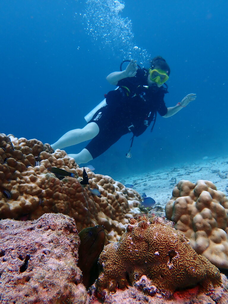 Diving Joy Joy Scuba, Phuket Province, photo