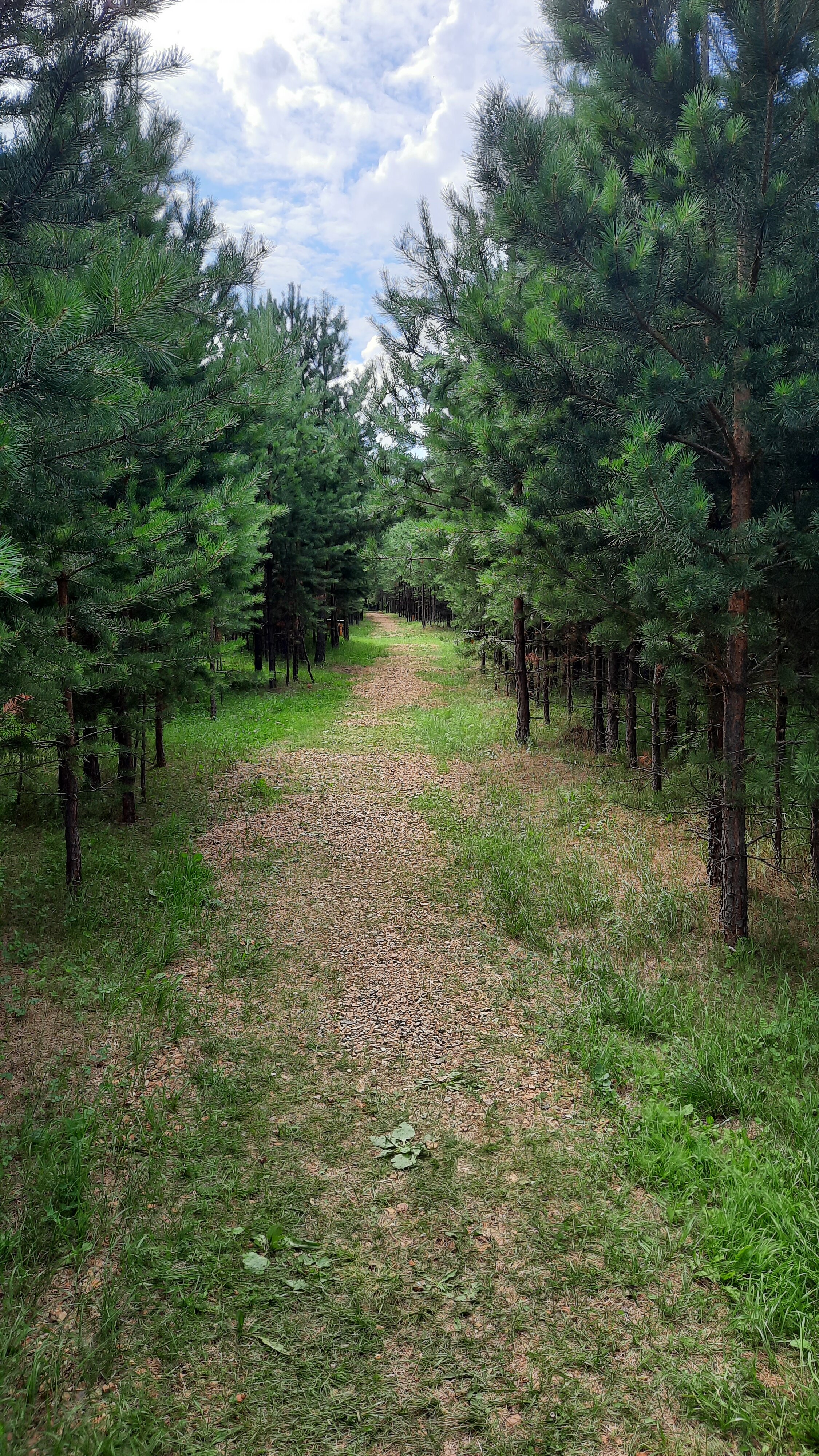 Фото Лестория