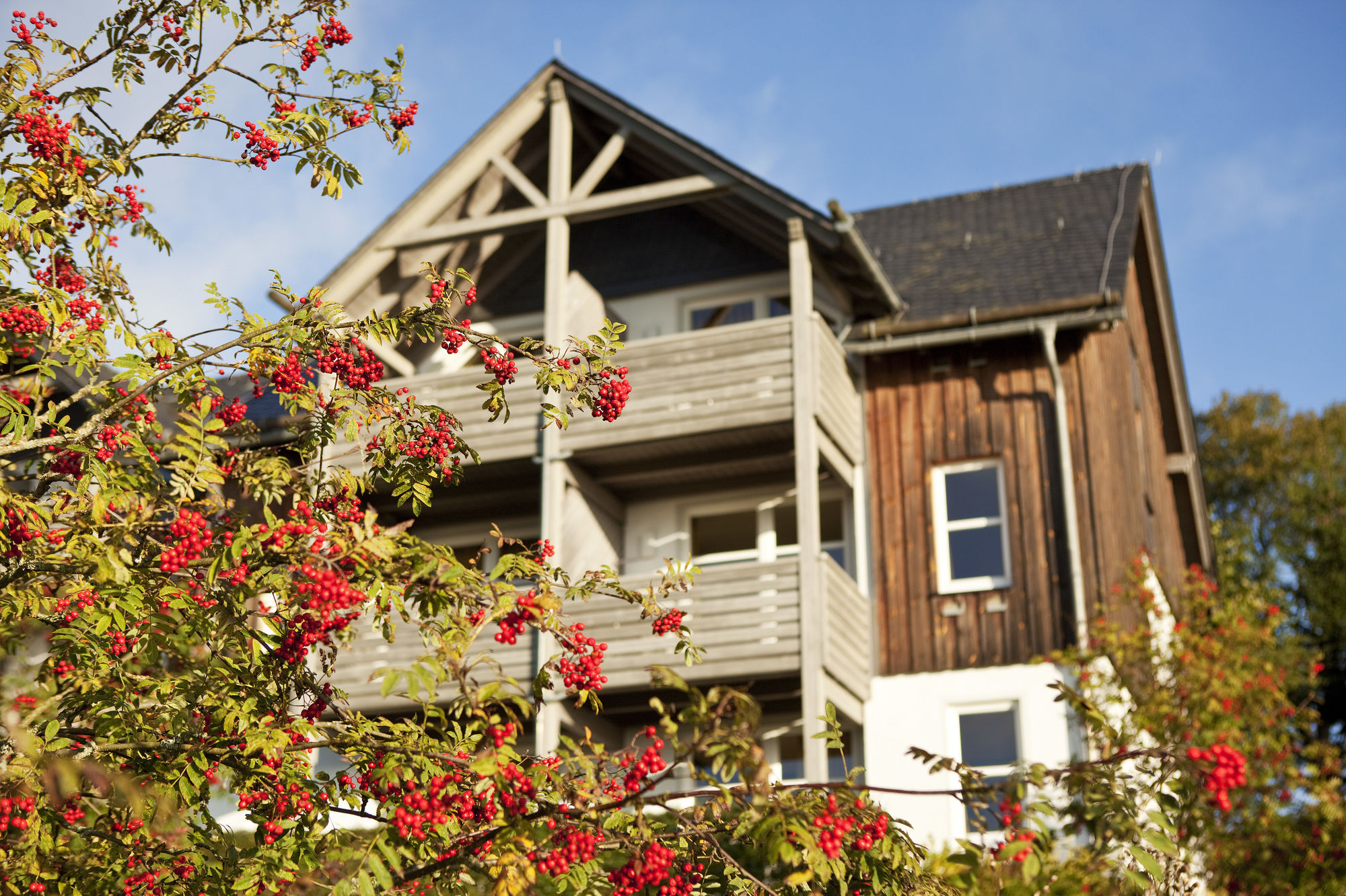 Фото Hapimag Resort Winterberg