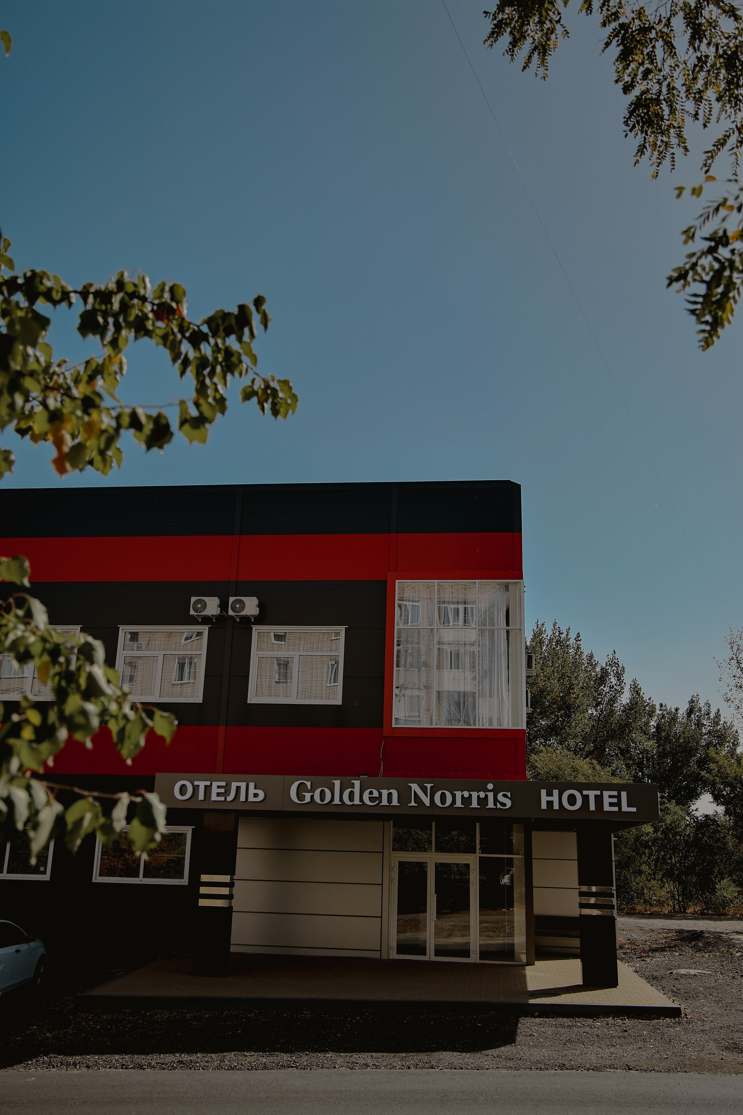 Фото Голден Норрис