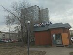 Magazin Linoleum (Anatoliya Gladkova Street, 6/1) ، تبليط الأرضية
