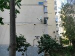 Kenigglass (Academician Lukyanenko Street, 26), stained glass