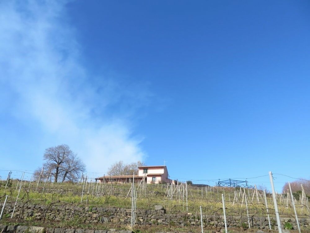 Фото Le Case del Merlo