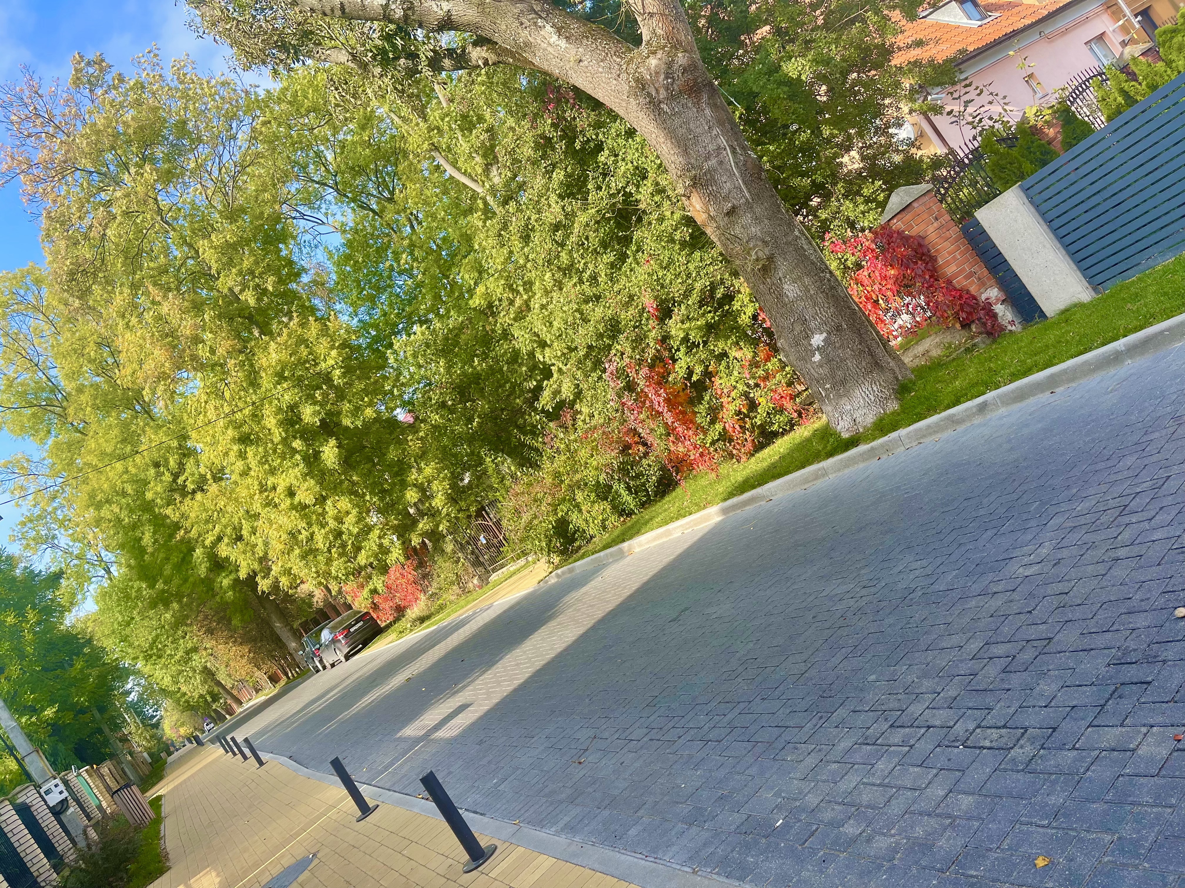 Фото Кошкин дом